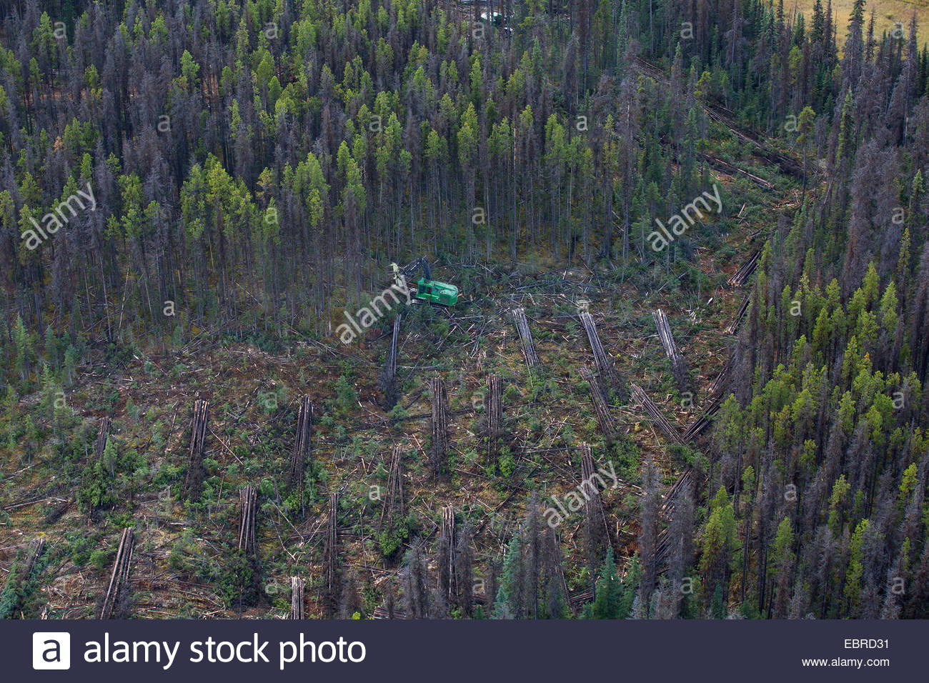 Aerial view of clear-cut deforestation Stock Photo