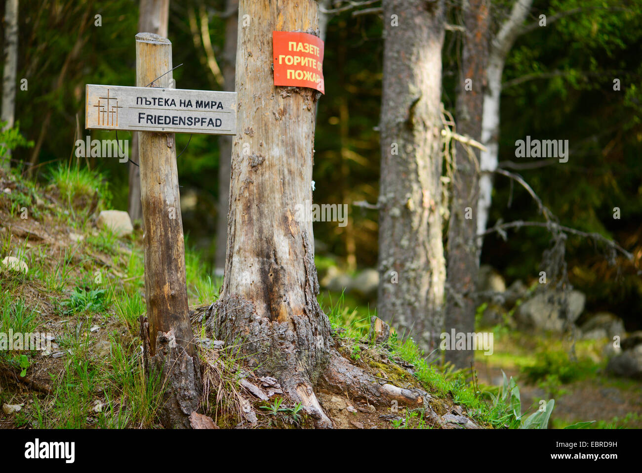wooden sign Friedenspfad at the Bulgarian Rhodpes, Bulgaria, Rhodope Mountains Stock Photo