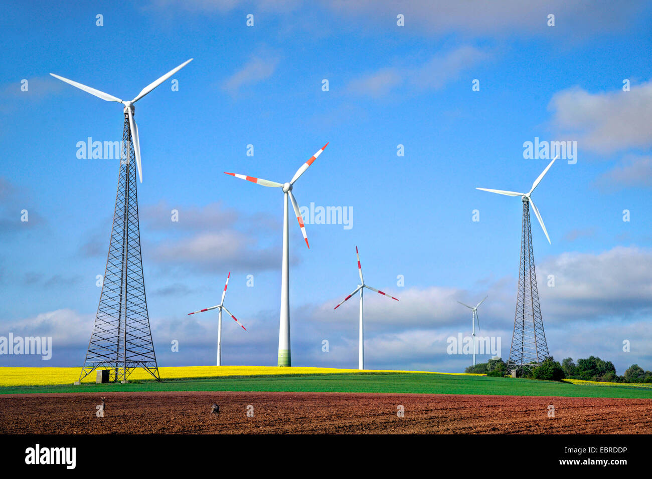 windmills next to a rape field in Hesse, Germany, Hesse Stock Photo