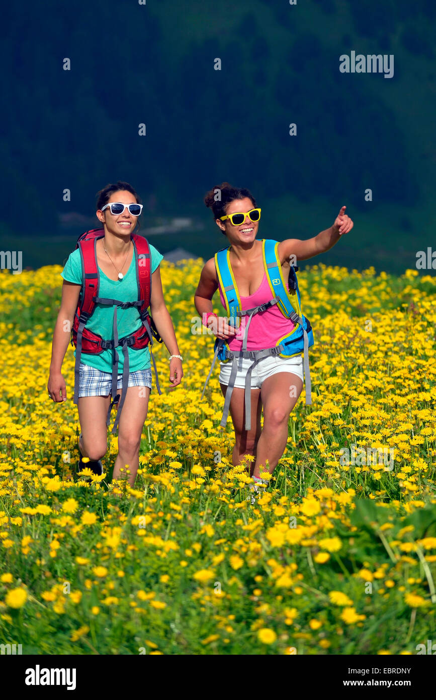 two attractive young women walking through blooming dandelion meadow, France, Savoie, Vanoise National Park Stock Photo