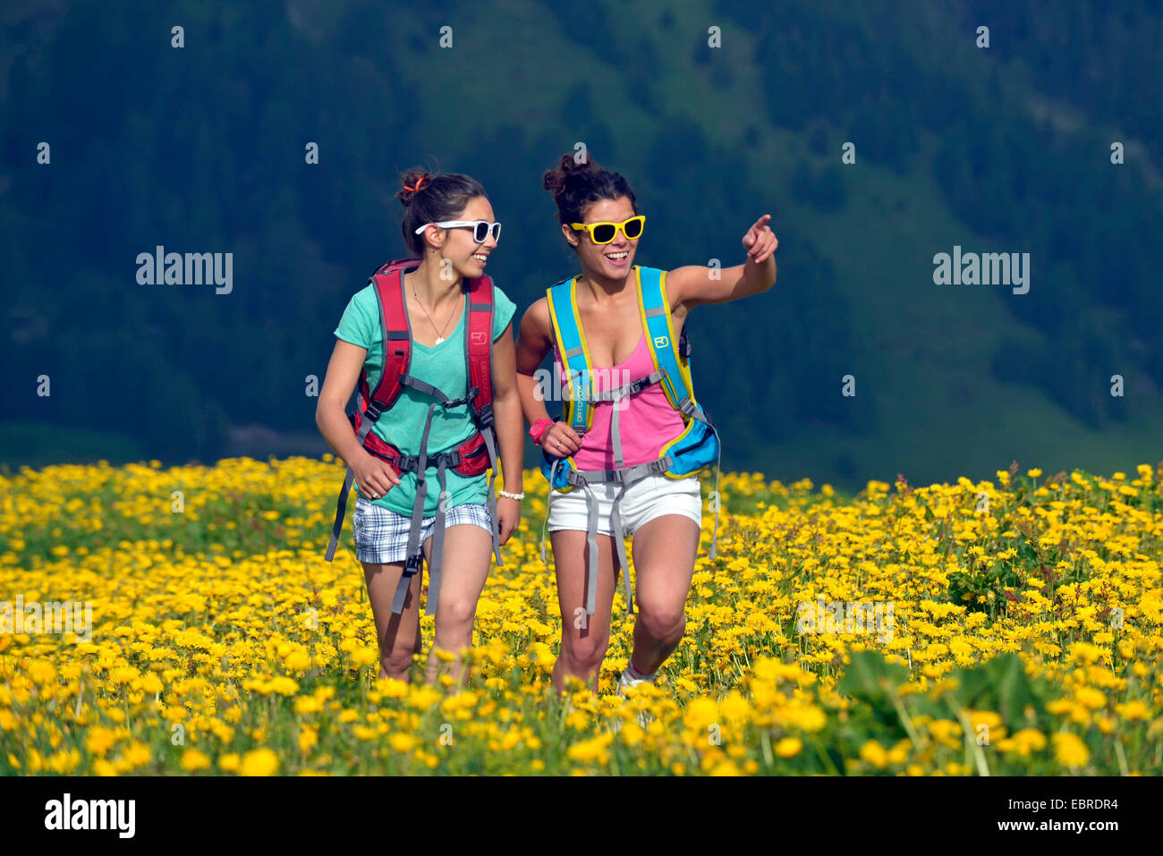 two attractive young women walking through blooming dandelion meadow, France, Savoie, Vanoise National Park Stock Photo