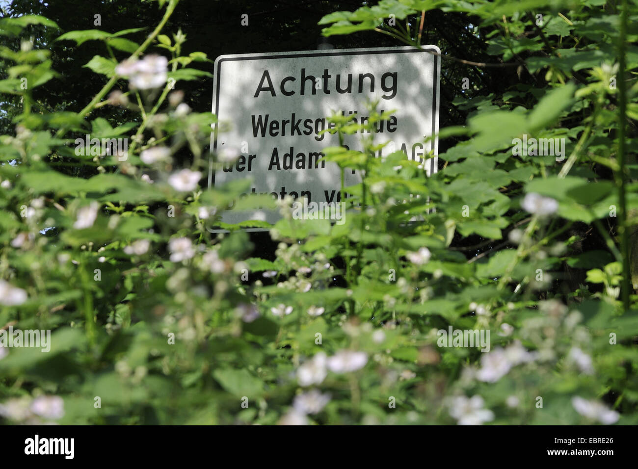 overgrown information sign on the former factory premises of a car producer, Germany, North Rhine-Westphalia, Ruhr Area, Bochum Stock Photo