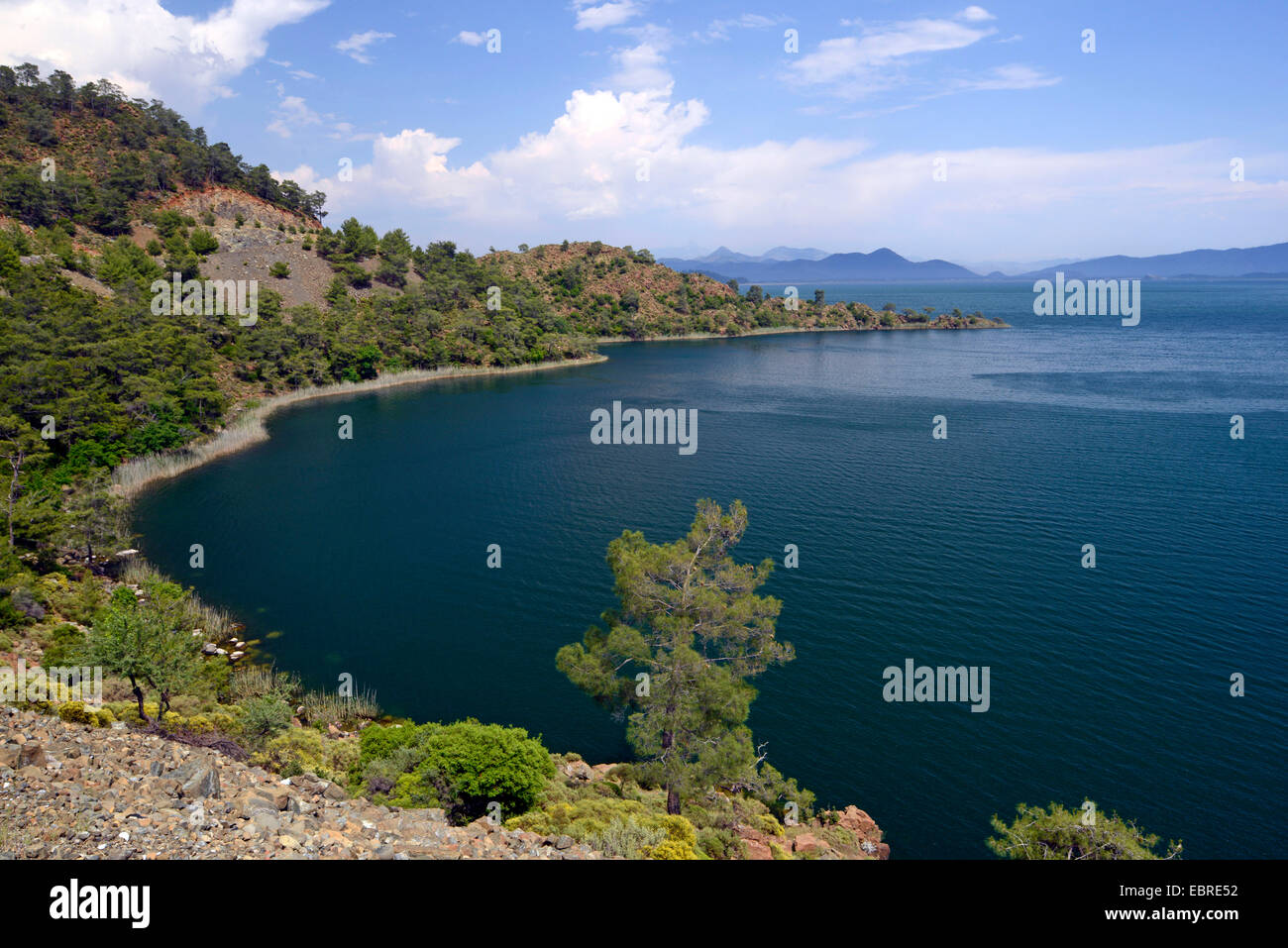 lake Koeycegiz at Dalyan river delta, Turkey, Lycia, Dalyan, Mugla Stock Photo
