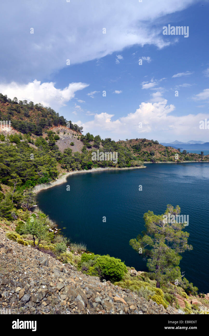 lake Koeycegiz at Dalyan river delta, Turkey, Lycia, Dalyan, Mugla Stock Photo