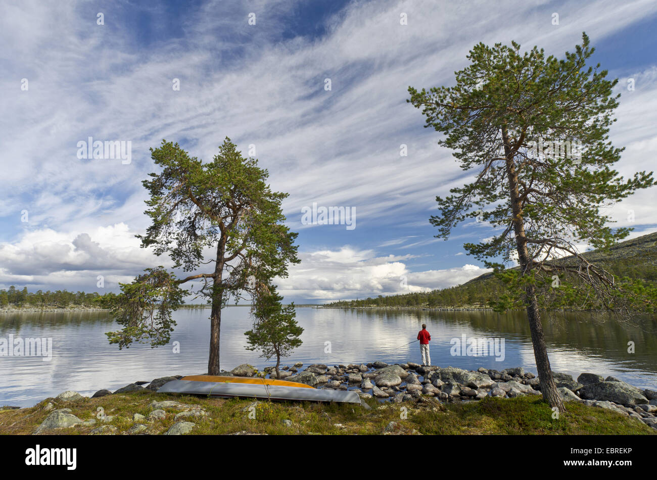man fishing at Rogen lakeshore, Sweden, Haerjedalen, Naturreservat Rogen Stock Photo