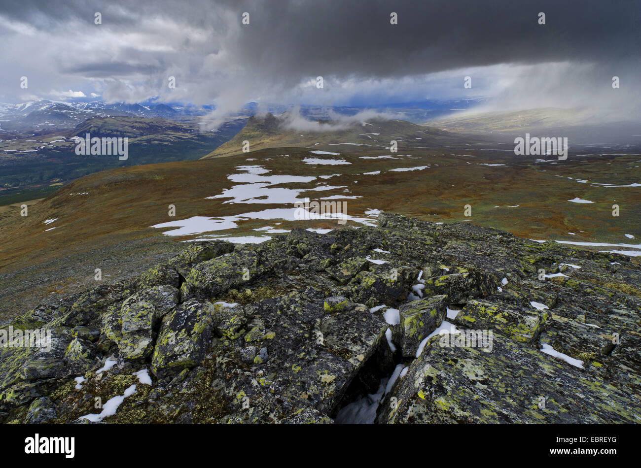flurry of snow in mountain scenery of Alvdal Vestfjell, Norway, Hedmark, Hedmark Fylke, Rondane National Park Stock Photo