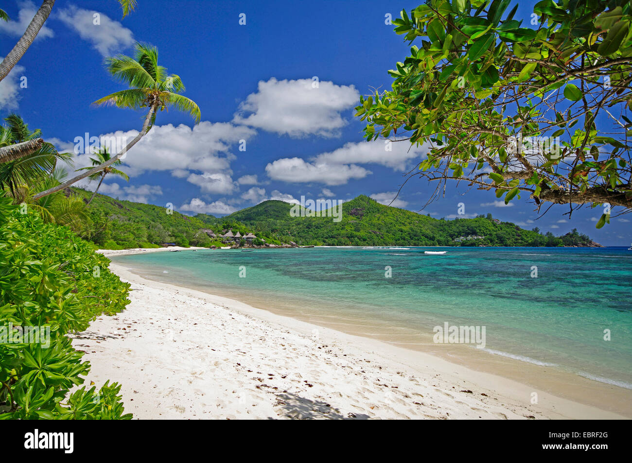beach of Baie Lazare , Seychelles, Mahe Stock Photo