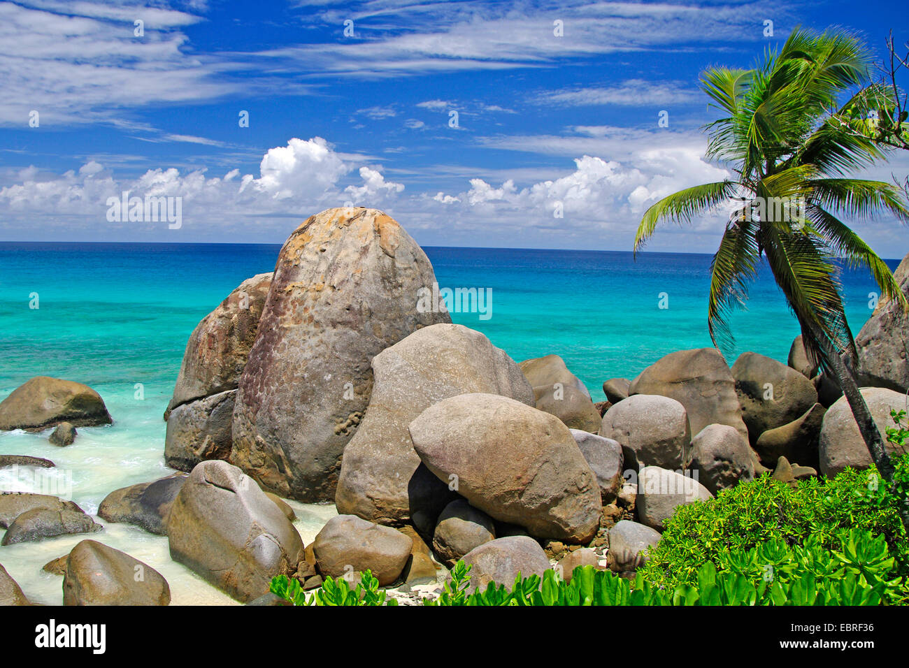 paradisiac beach with palm trees and rocks at the Carana Bay, Seychelles, Mahe Stock Photo
