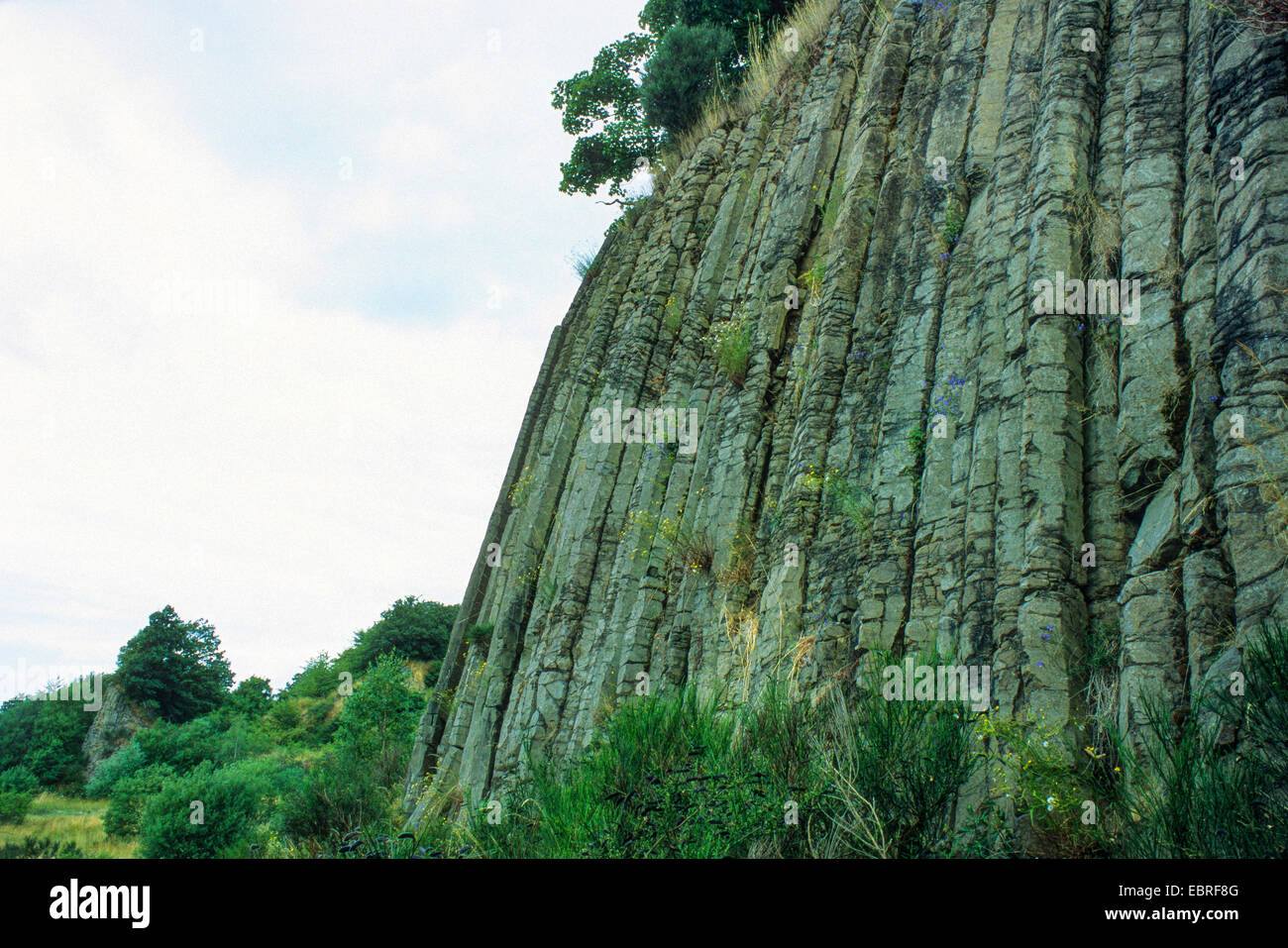 basalt columns , Germany, Rhineland-Palatinate, Siebengebirge, Kalenborn Stock Photo