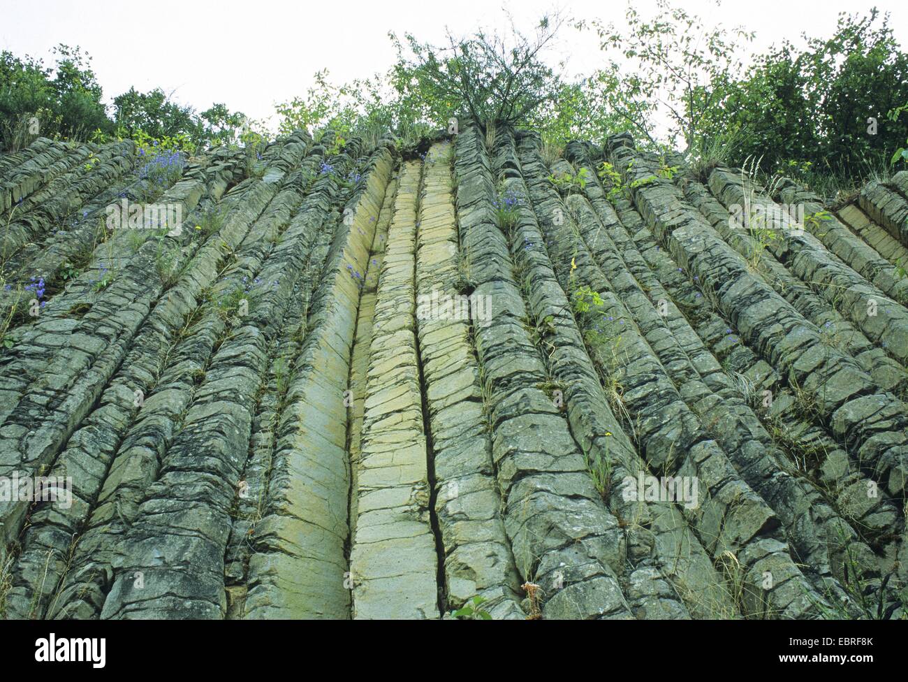 basalt columns , Germany, Rhineland-Palatinate, Siebengebirge, Kalenborn Stock Photo
