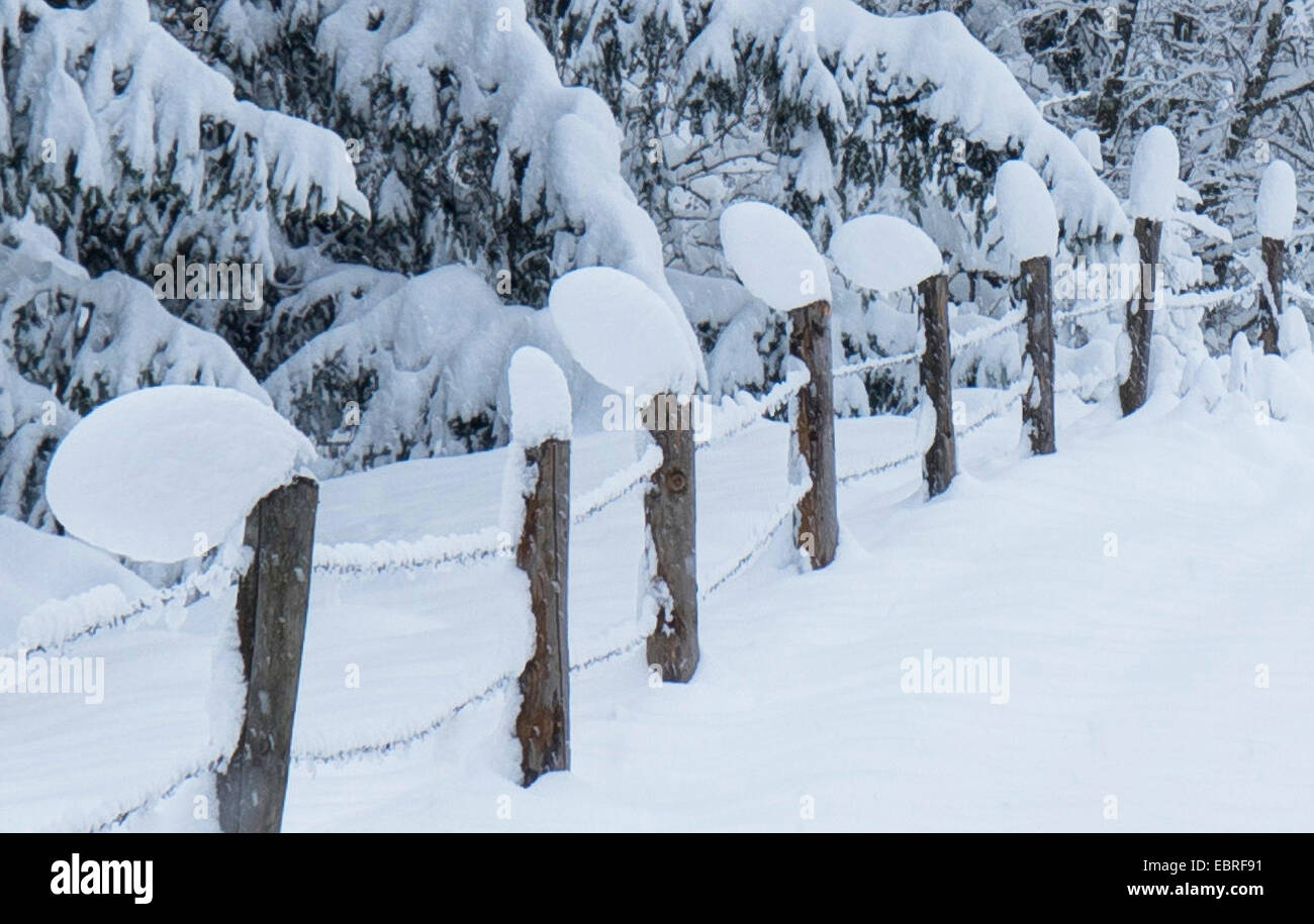 snow caps on fencing posts, Germany, Bavaria, Oberbayern, Upper Bavaria Stock Photo