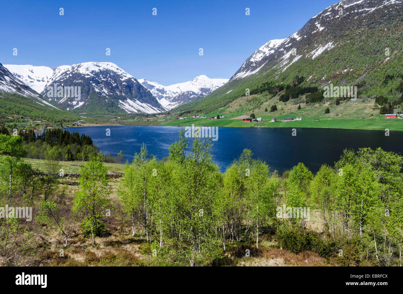 landscape at Lake Dalavatnet, Sogndal, Sogn og Fjordane, Norway, Lapland Stock Photo