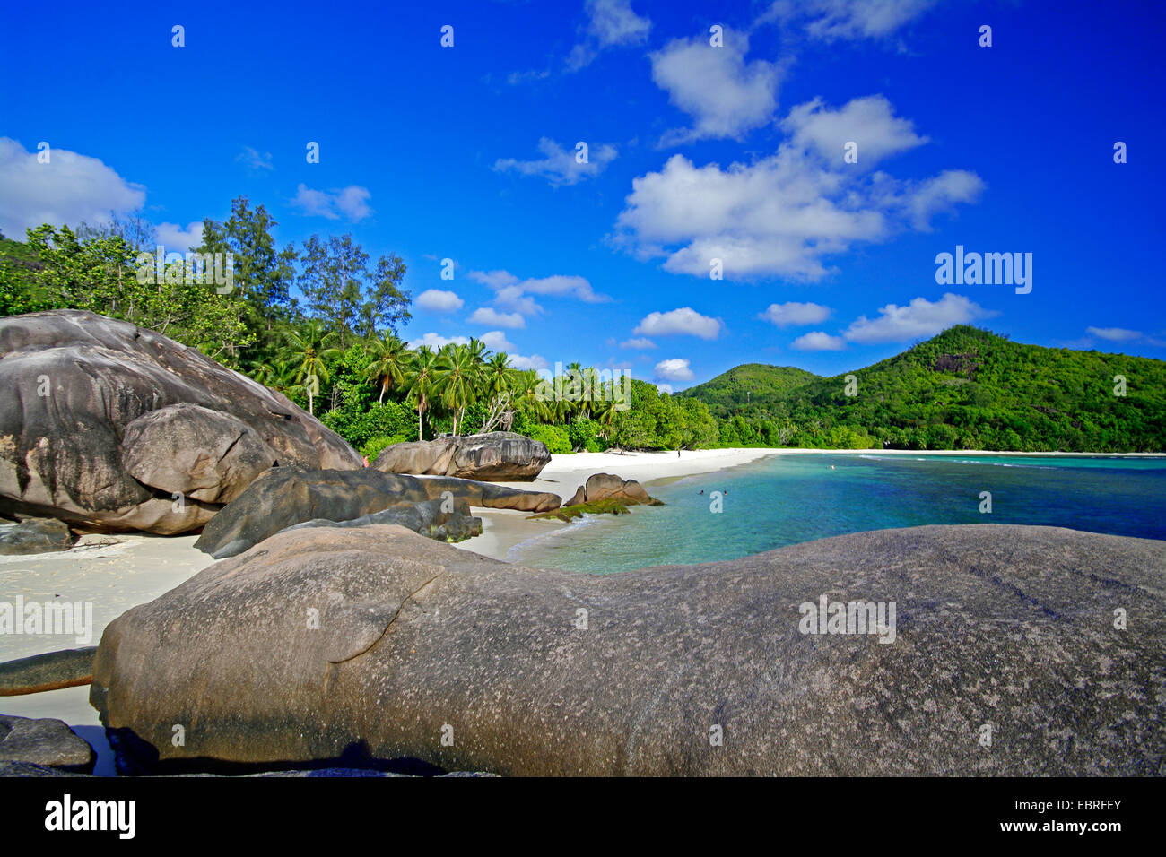 beach with granite rocks, palm trees and takamaka trees at the Baie Lazare at the western coast of the island Mahe, Seychelles, Mahe Stock Photo