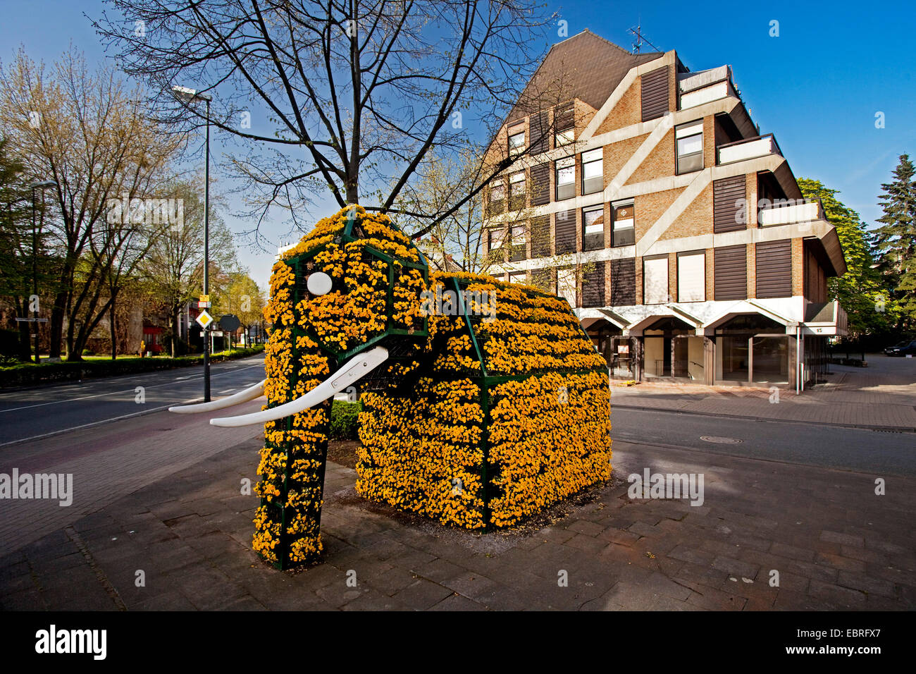 elephant made of flowers near town hall, Germany, North Rhine-Westphalia, Ruhr Area, Hamm Stock Photo