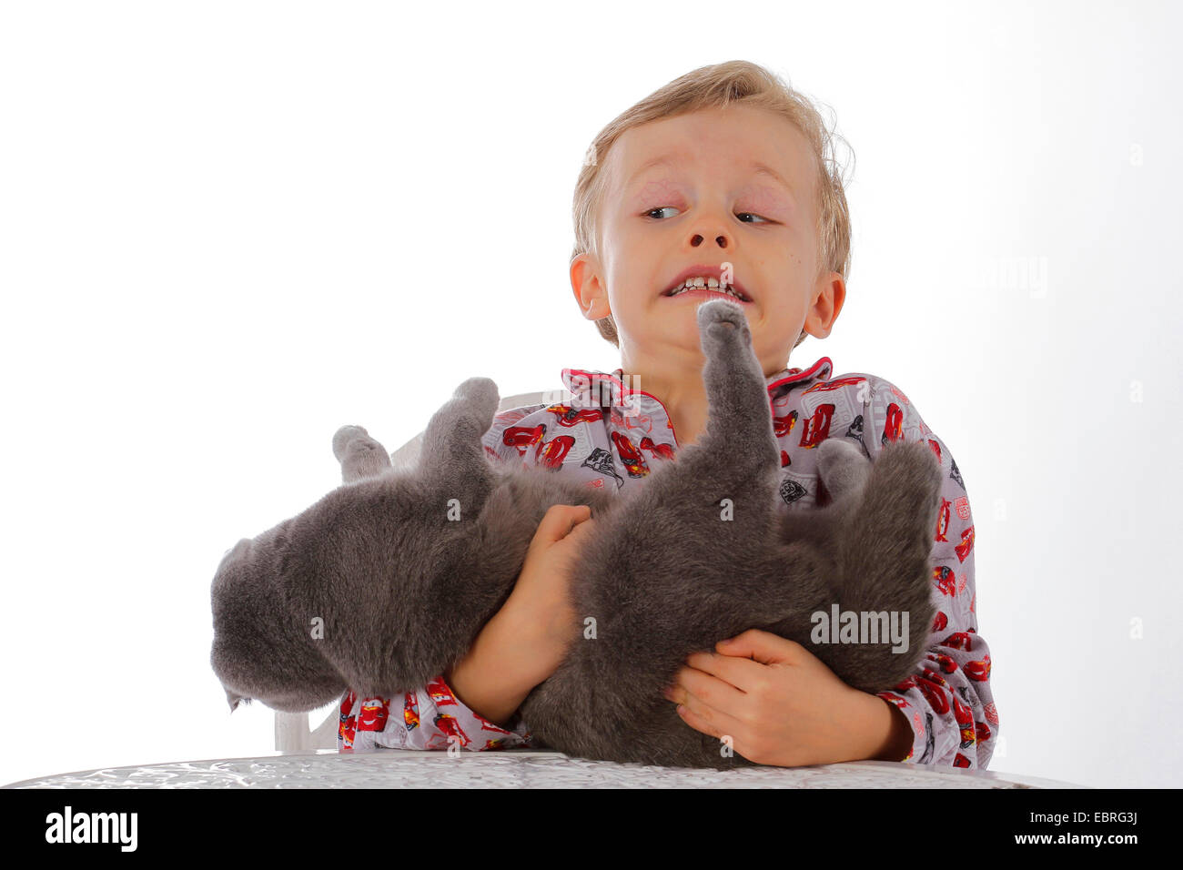 domestic cat, house cat (Felis silvestris f. catus), little boy in pyjama holding sceptically a cat on arm Stock Photo