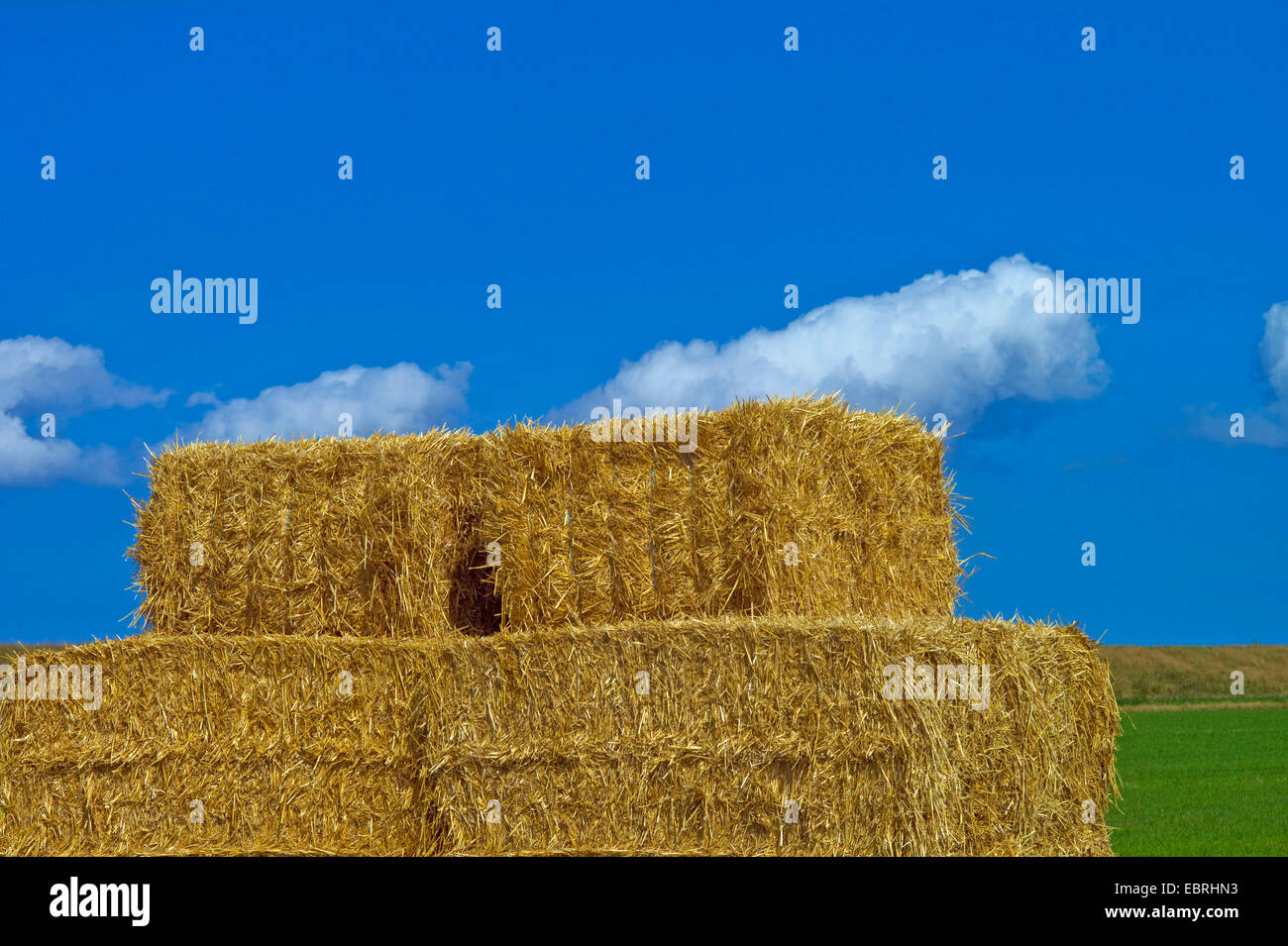 bales of straw, Germany, Lower Saxony, East Frisia, Neuharlingersiel Stock Photo