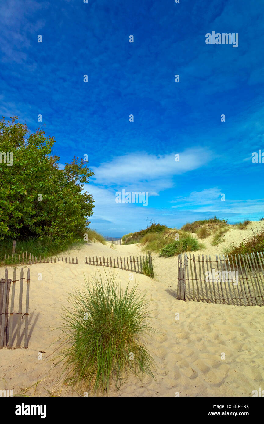 dune landscape near Touquet Paris Plage, France, Nord-pas-de-Calais Stock Photo