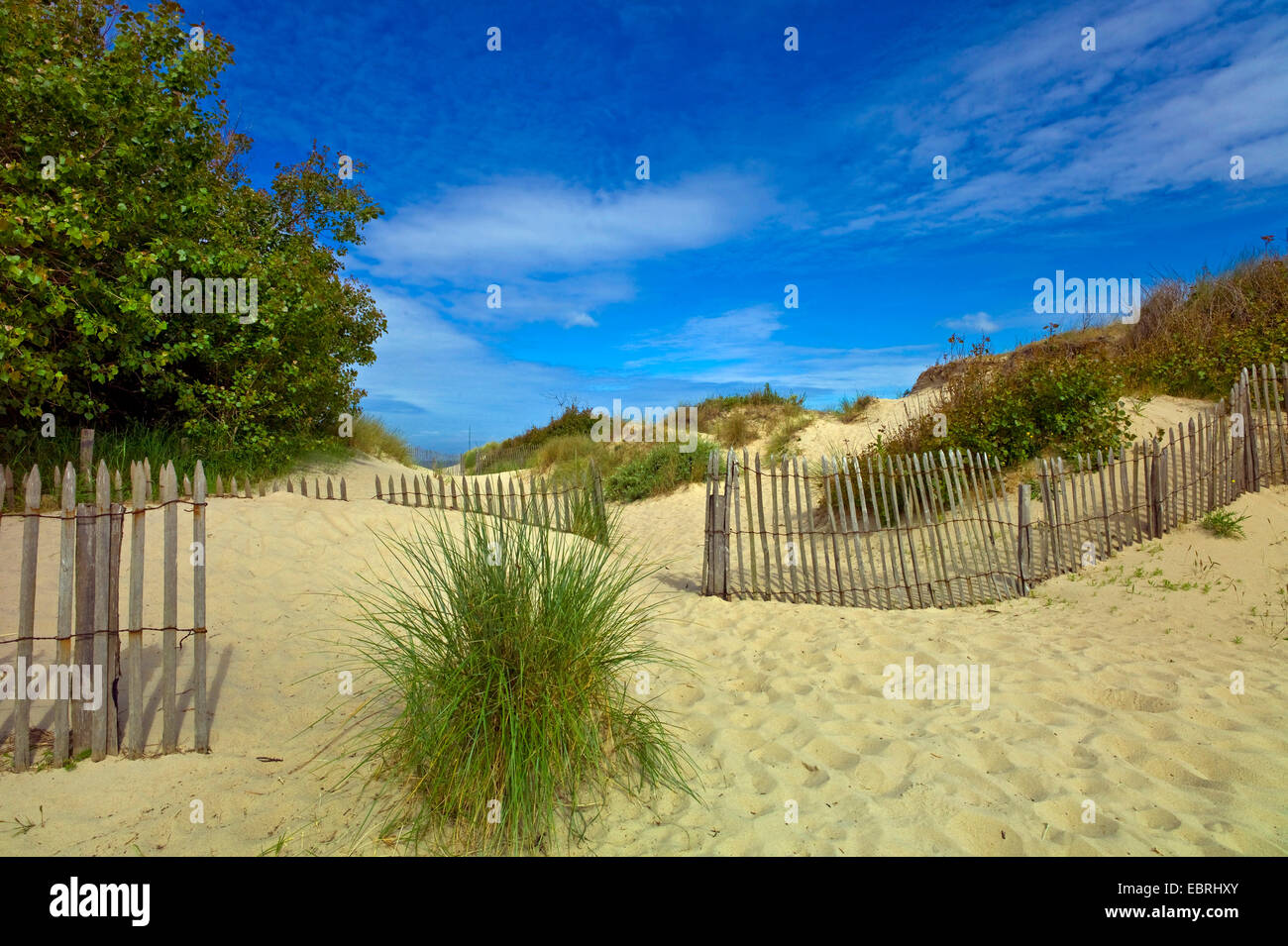 dune landscape near Touquet Paris Plage, France, Nord-pas-de-Calais Stock Photo