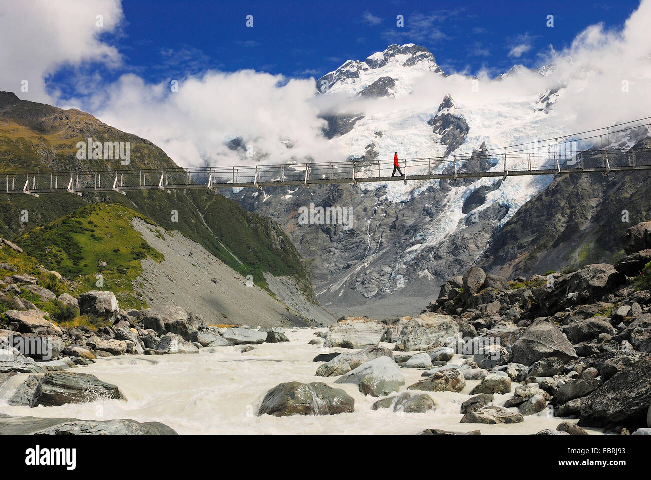 tourist crossing a suspension bridge over the Hooker River in the