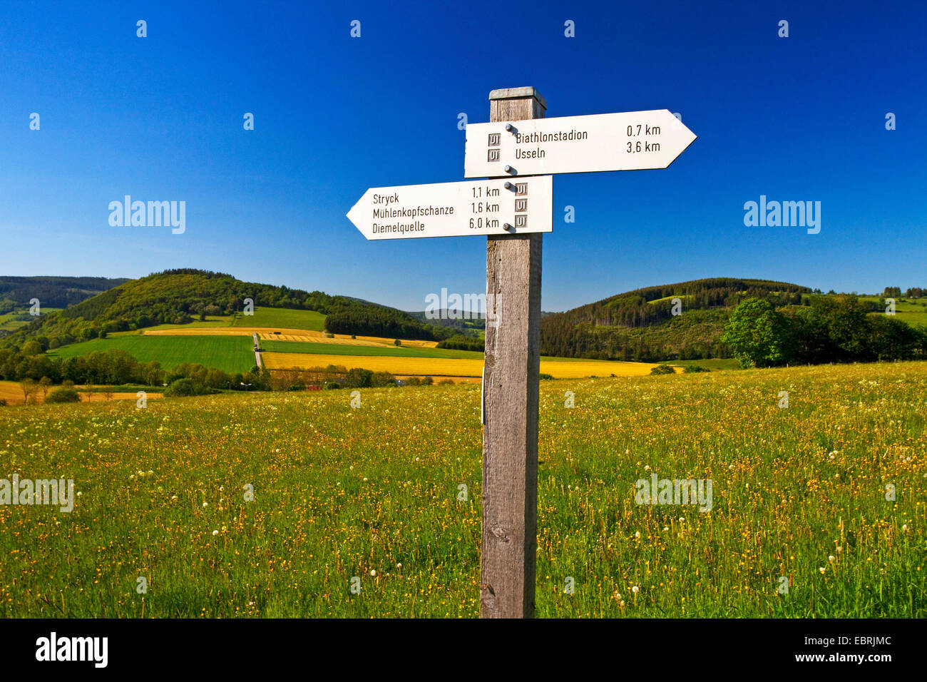direction signs for tourists in beautiful flowering spring landscape in Willingen, Germany, Hesse, Willingen Stock Photo