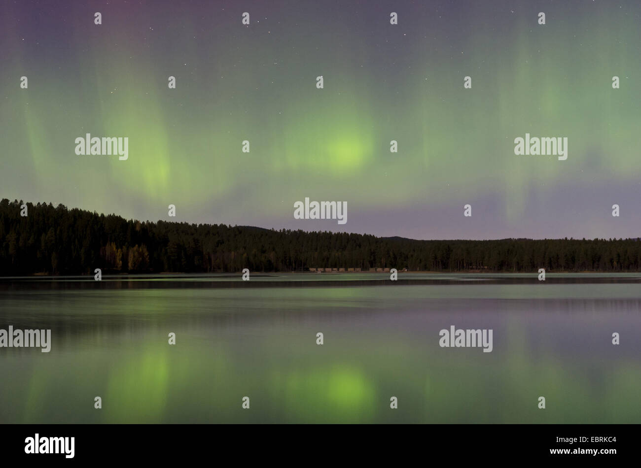 polar lights mirroring in a lake, Norway, Hedmark Fylke, Renaca Stock Photo