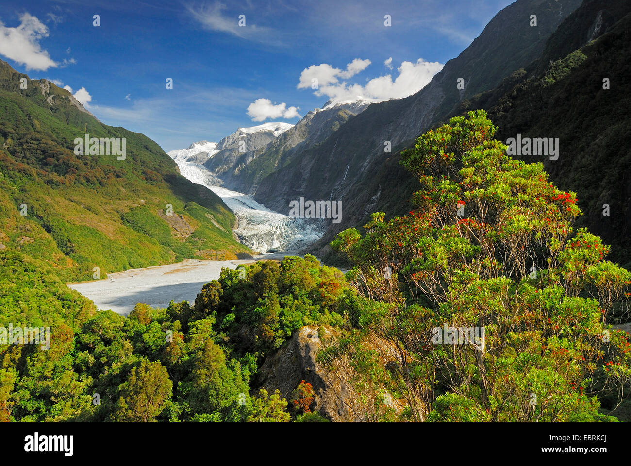 panoramic view from the Sentinel Rock to the Franz Josef Glacier, New Zealand, Southern Island, Westland National Park Stock Photo