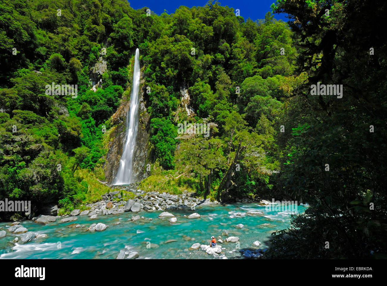 Haast River and waterfall, New Zealand, Southern Island Stock Photo