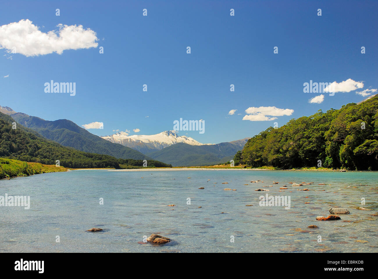 Haast River, Mount Mc Cullaugh and Mount Hooker in background, New Zealand, Southern Island Stock Photo