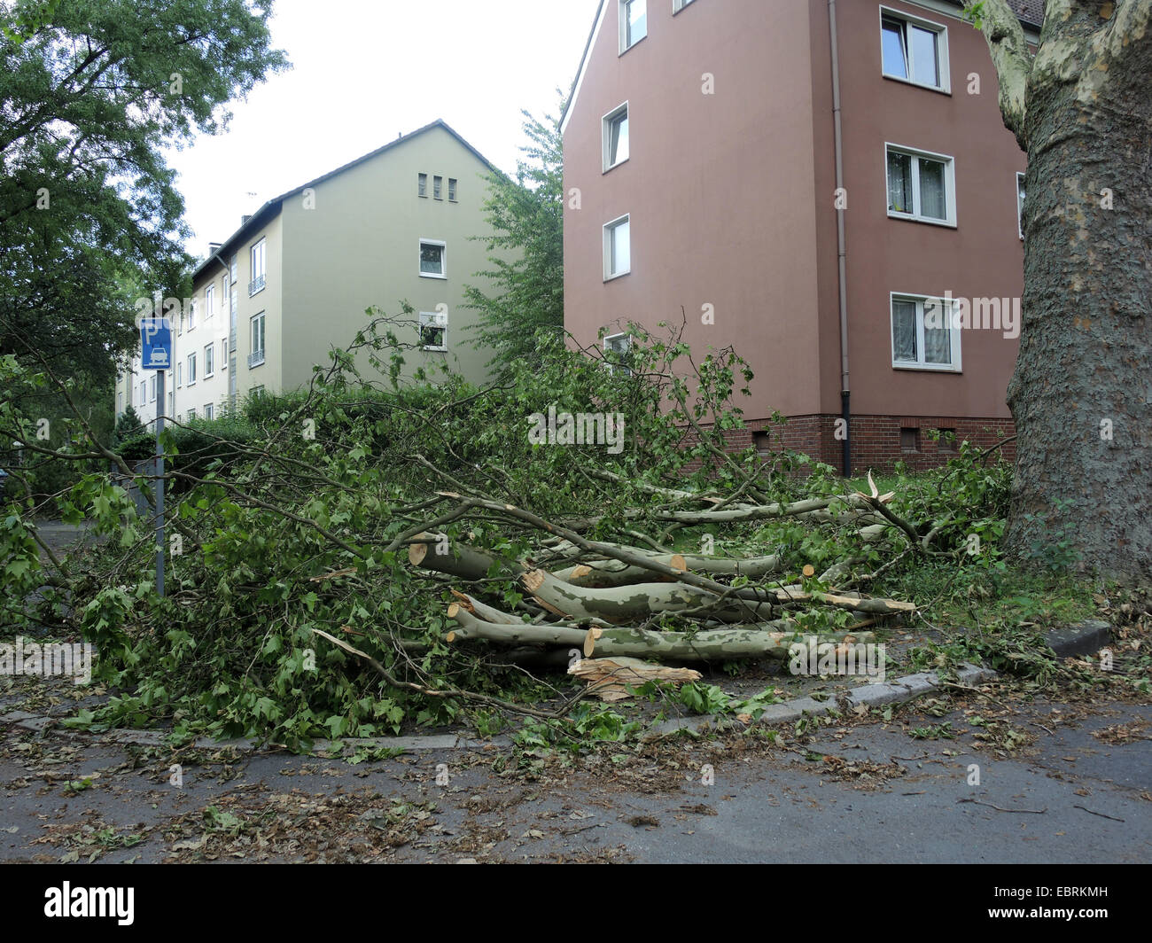 street after the storm front Ela at 2014-06-09, Germany, North Rhine-Westphalia, Ruhr Area, Bochum Stock Photo