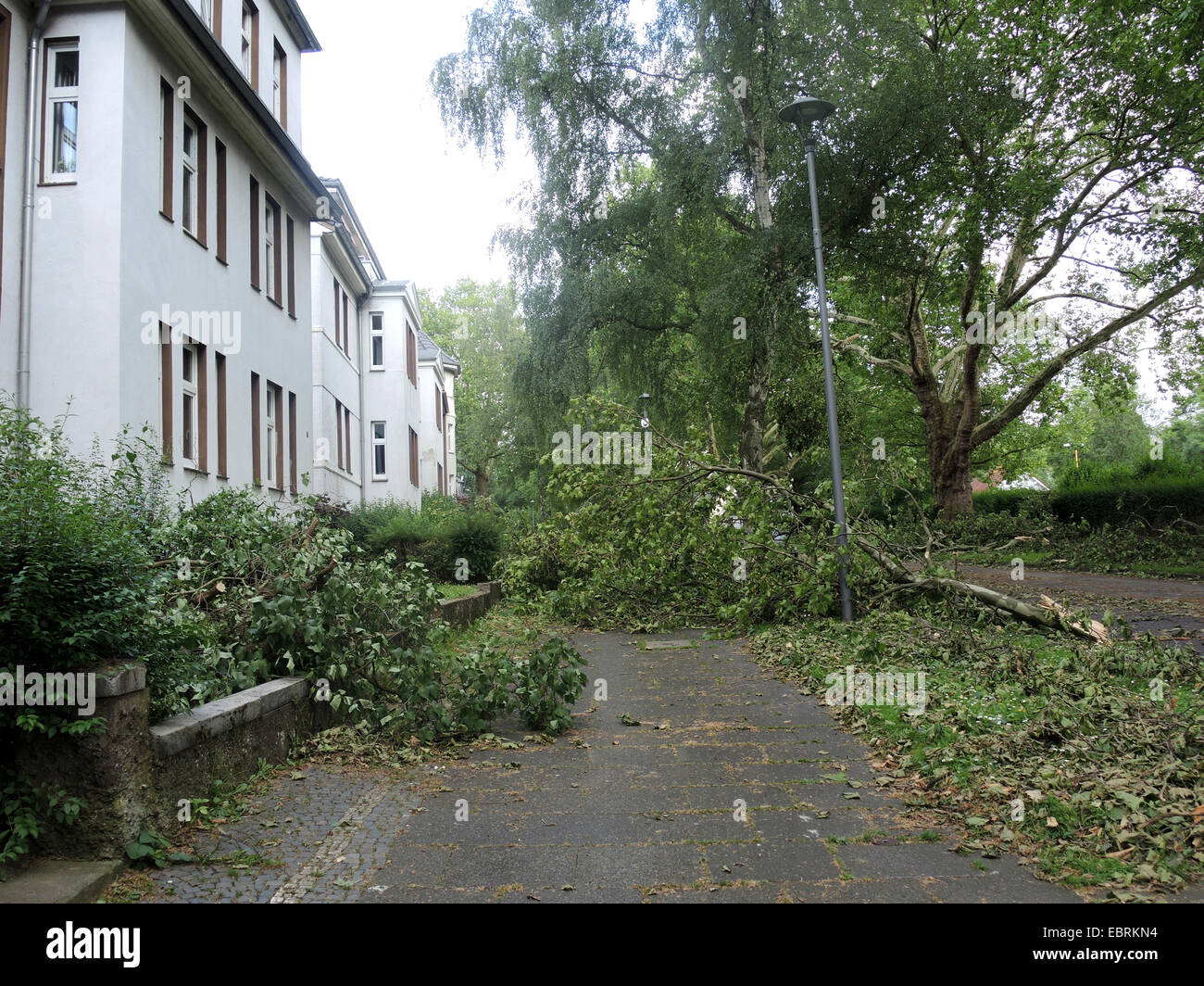 street after the storm front Ela at 2014-06-09, Germany, North Rhine-Westphalia, Ruhr Area, Bochum Stock Photo