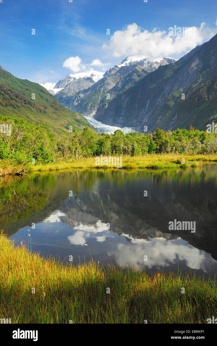 Peters Pool, Franz Josef Glacier in background, New Zealand, Southern Island, Westland National Park Stock Photo