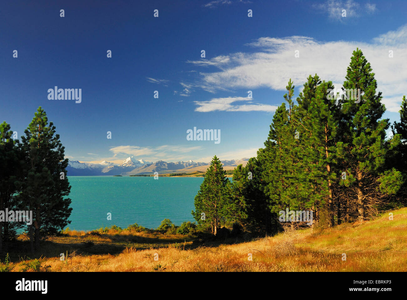 view over Lake Pukaki at Mt. Cook (Aoraki / 3754 m), the country's highest mountain, New Zealand, Southern Island, Canterbury, Mount Cook National Park Stock Photo