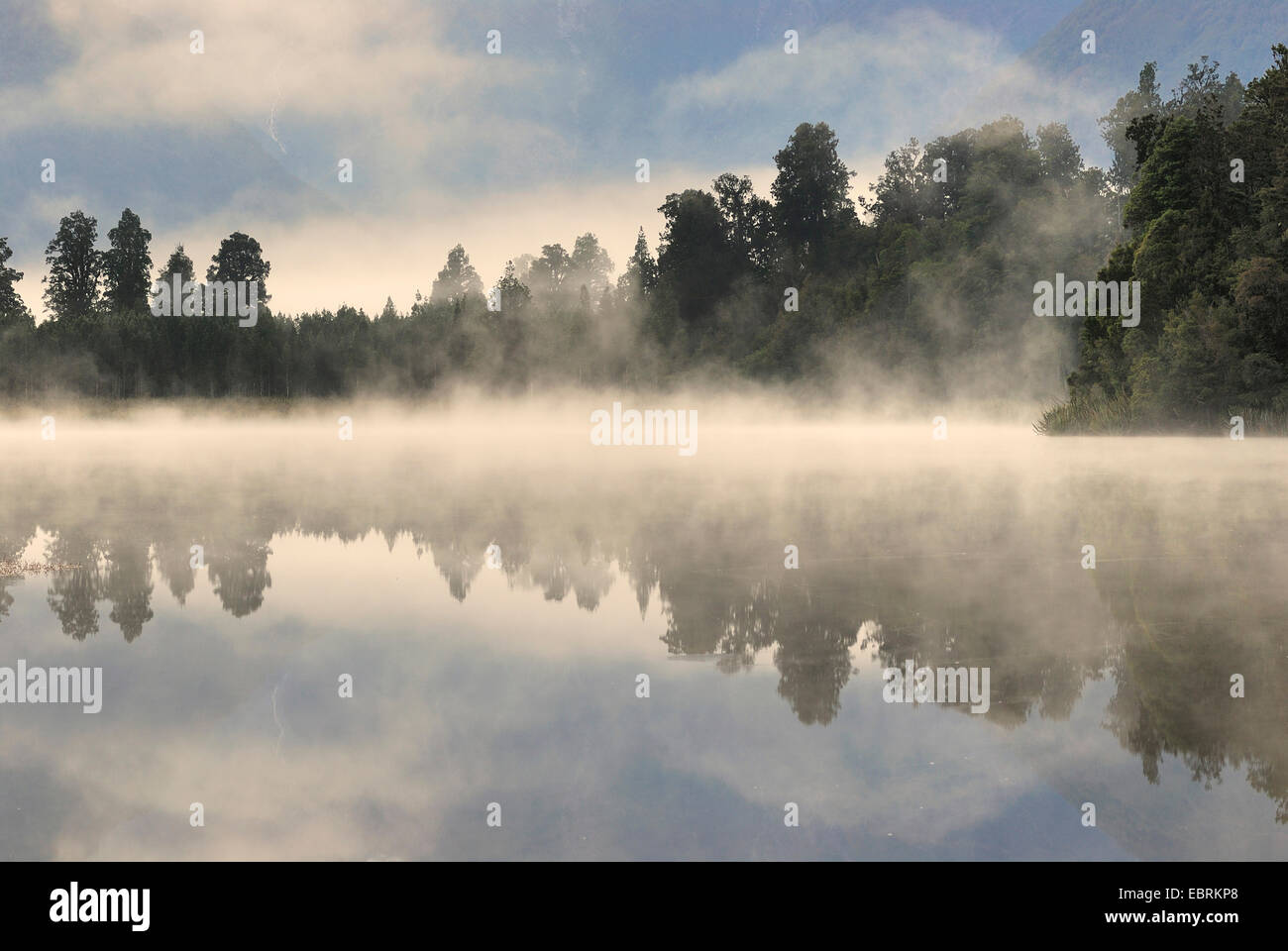 morning mist over the Lake Matheson, New Zealand, Southern Island, Westland National Park Stock Photo
