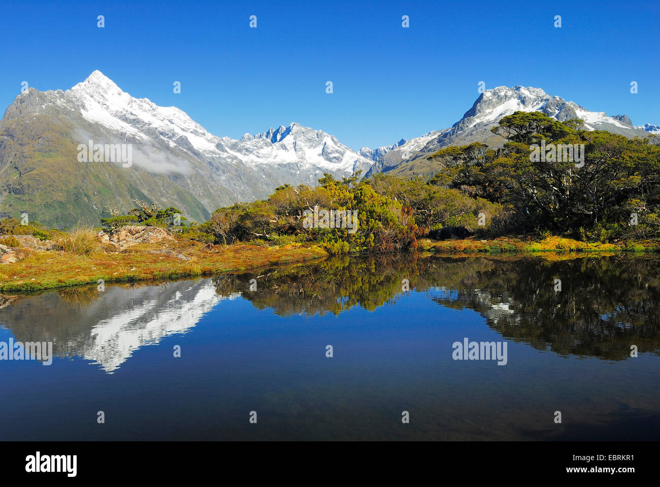 view from Key Summit to Mount Christina, New Zealand, Southern Island, Fjordland National Park Stock Photo