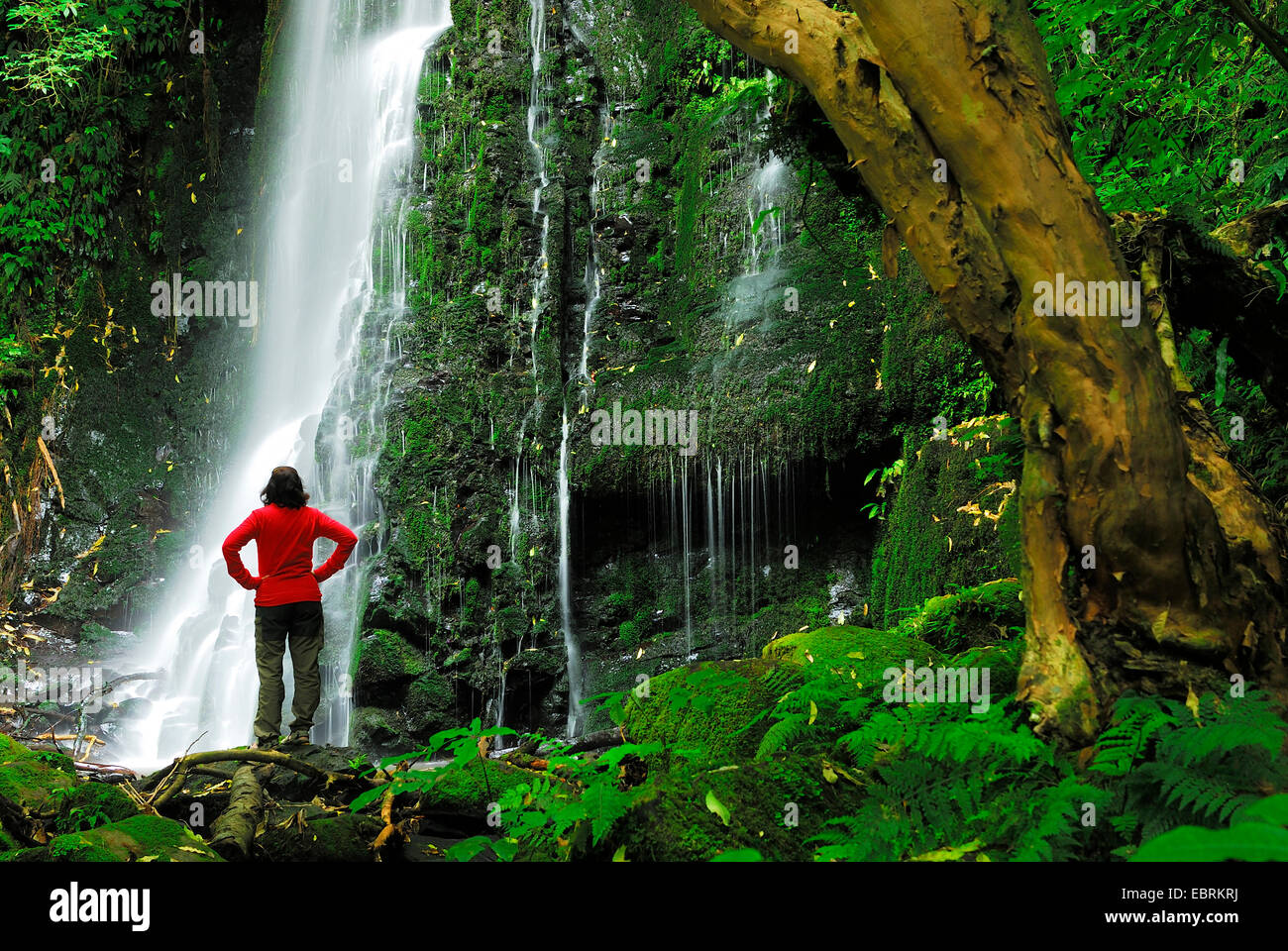 woman at 'Matai Falls', New Zealand, Southern Island, Otago, Catlins Forest Park Stock Photo