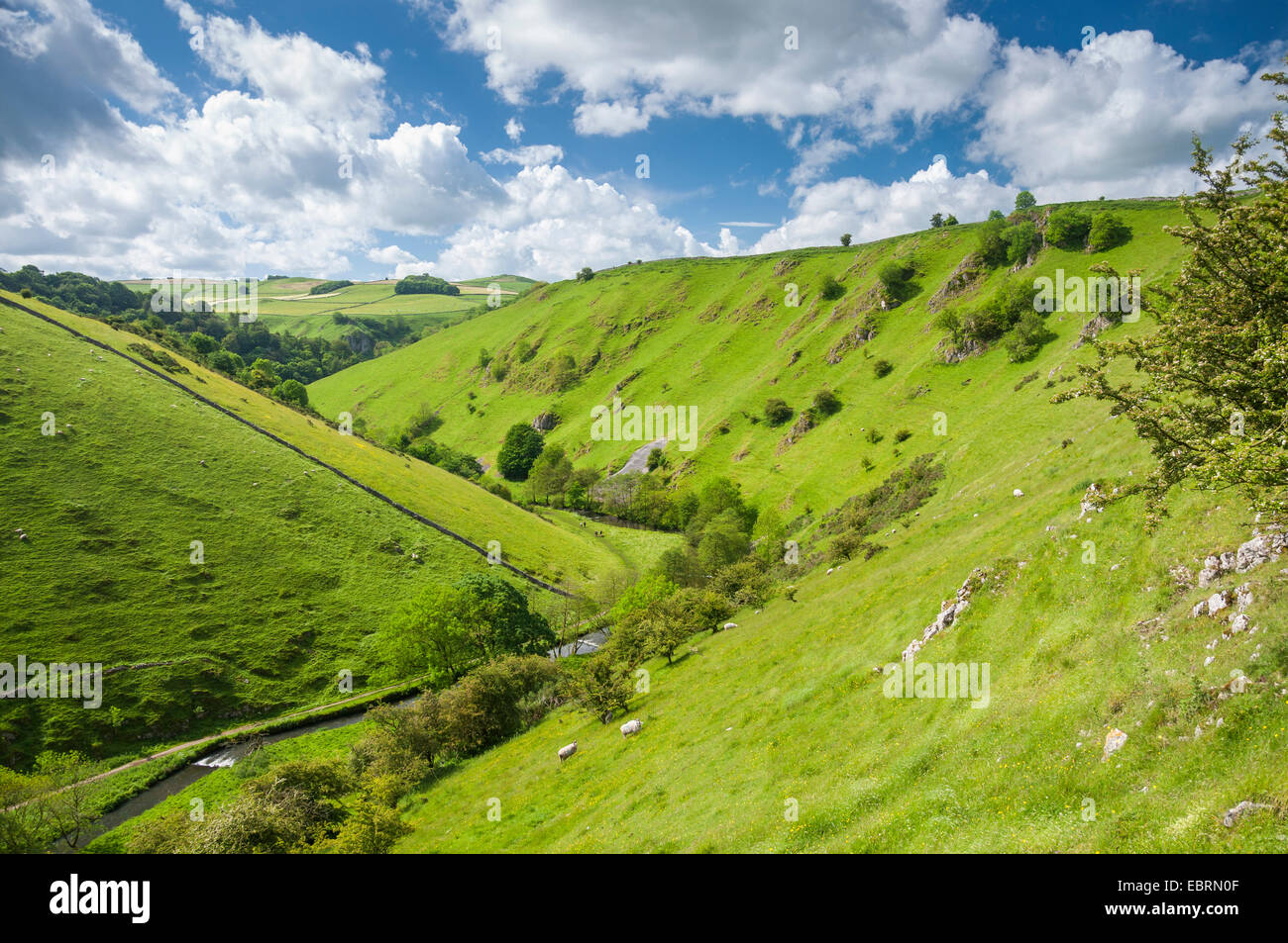 Wolfscote Dale on the Border of Derbyshire and Staffordshire. Beautiful summer landscape with green hillsides. Stock Photo