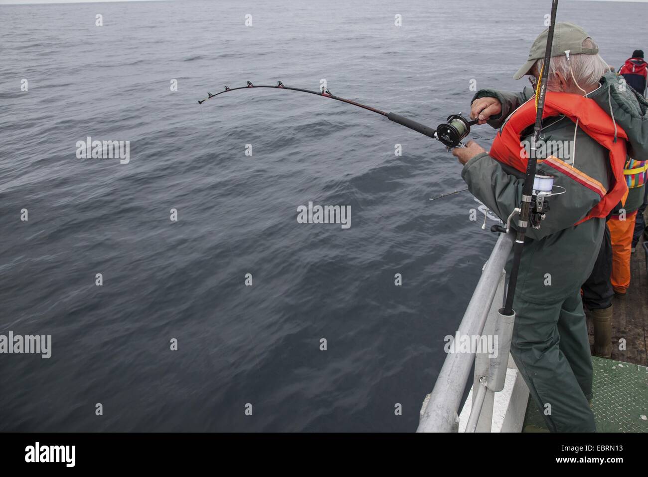 angler on a fishing trawler reeling a coal fish , Norway Stock Photo