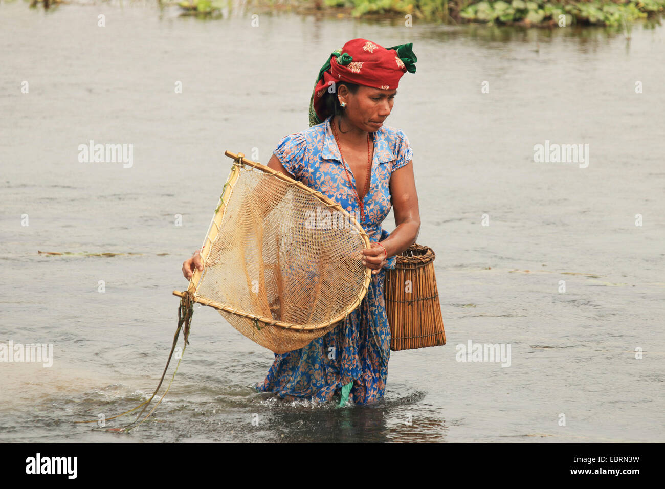 fishing woman in the Rapti River, Nepal, Terai, Chitwan National Park Stock Photo