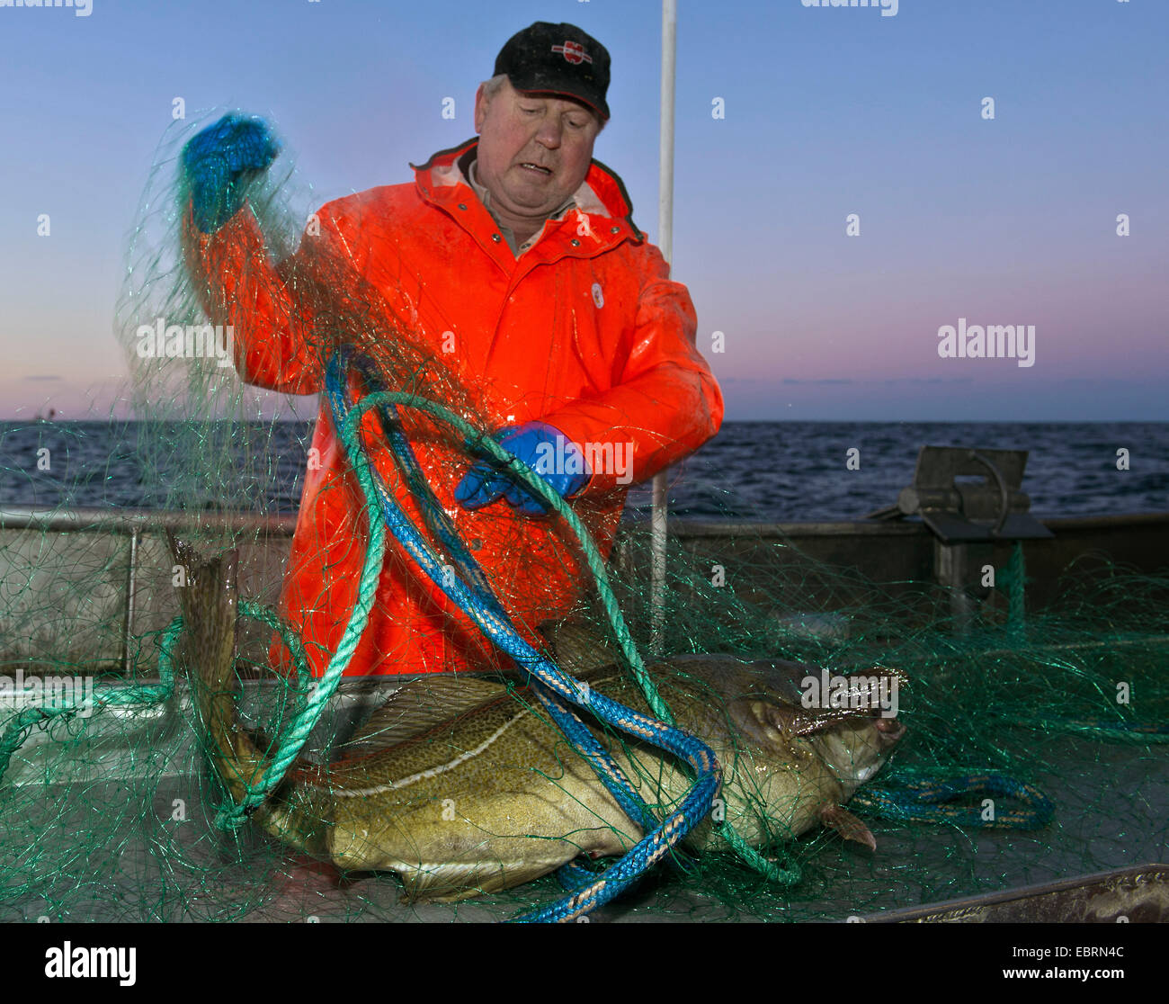 Big fishing nets hi-res stock photography and images - Page 2 - Alamy