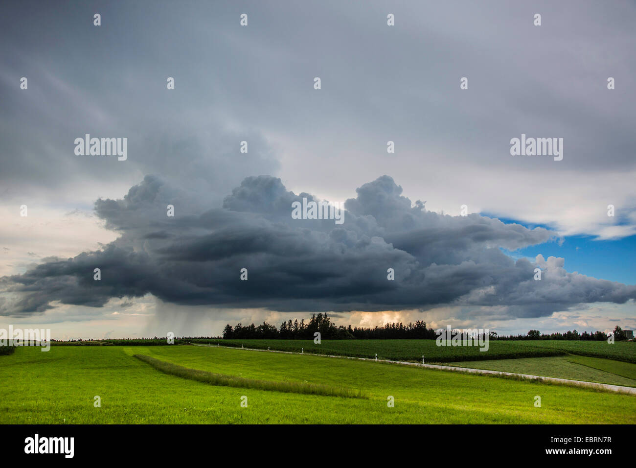 downpour above field landscape, cumulus clouds, Germany, Bavaria, Isental Stock Photo