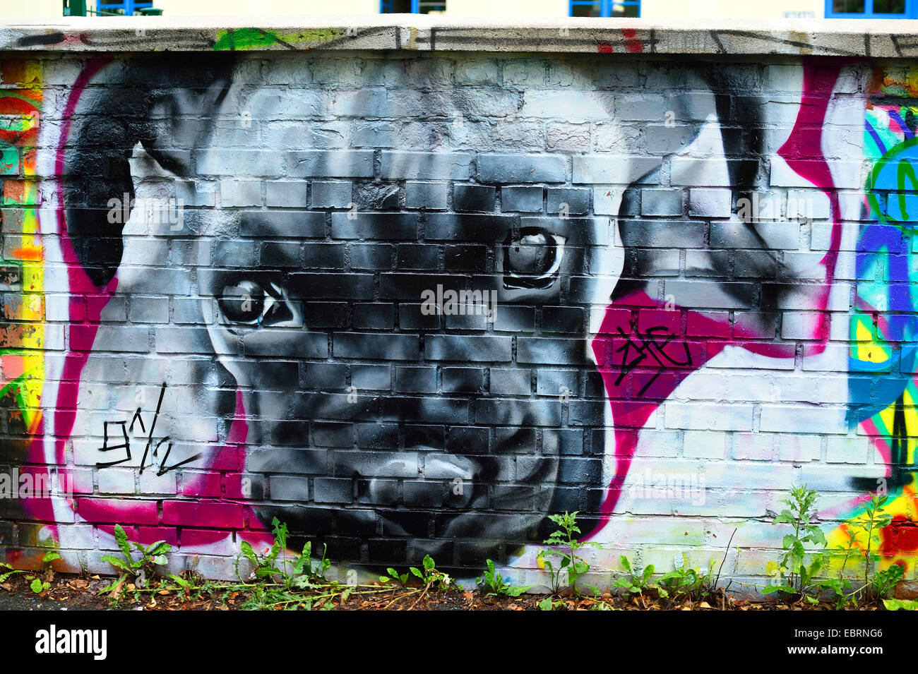 Dog as a graffiti on a wall hi-res stock photography and images - Alamy