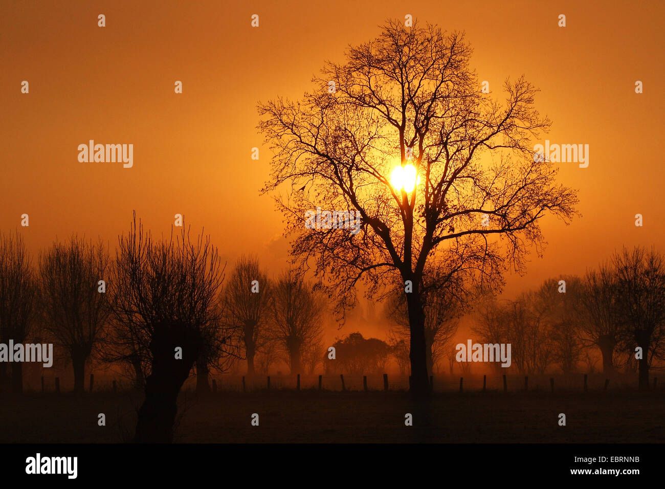 Idyllic photos hi-res stock photography and images - Alamy