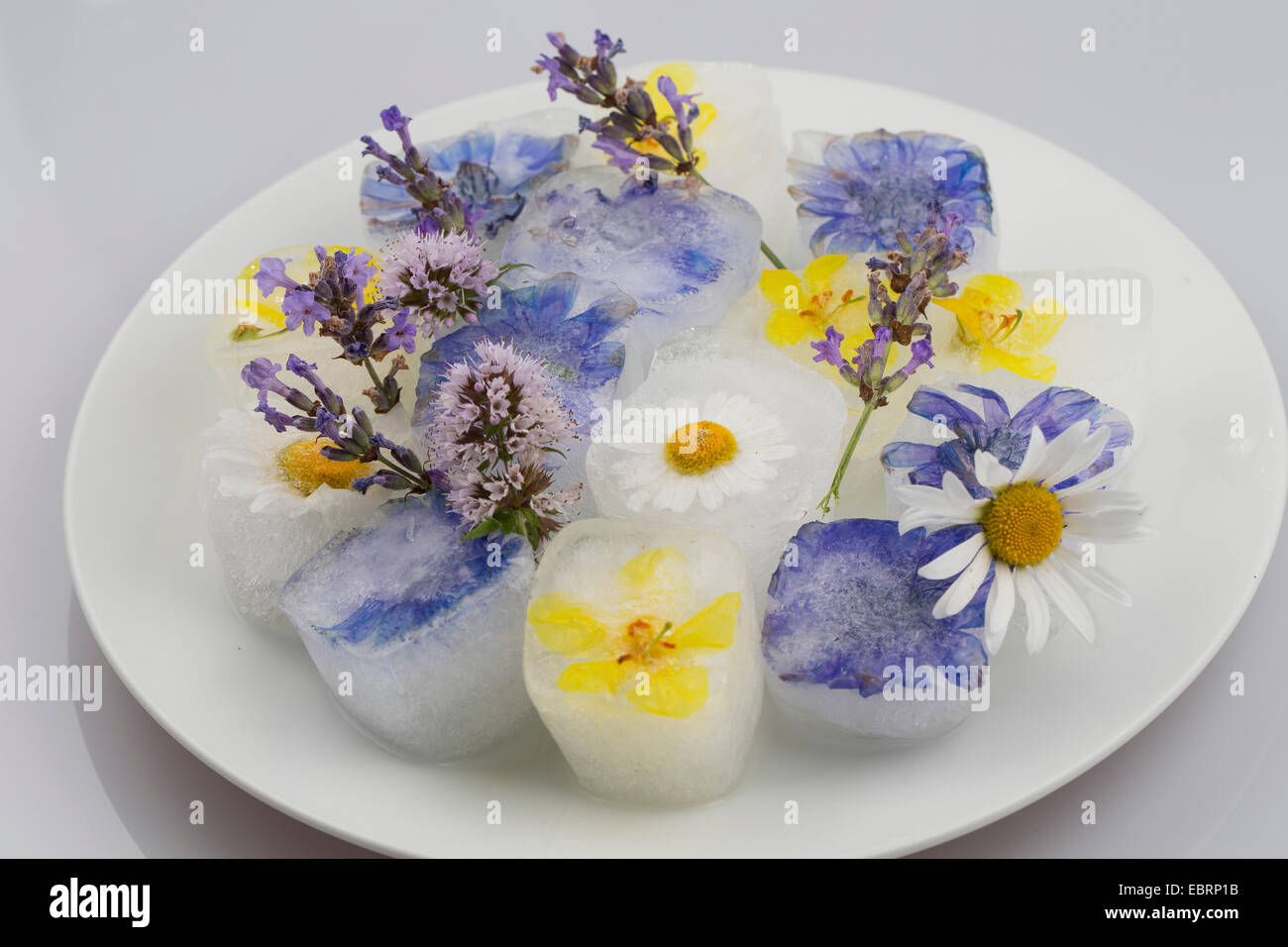 blossom ice cubes, flavoured with eatable blossoms Stock Photo