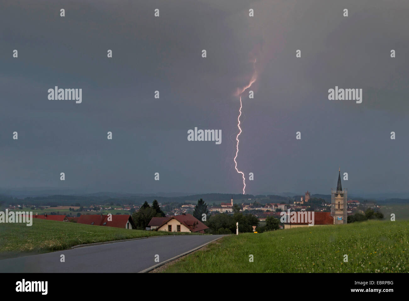 lightning in a woodland at daylight , Germany, Bavaria, Alpenvorland Stock Photo