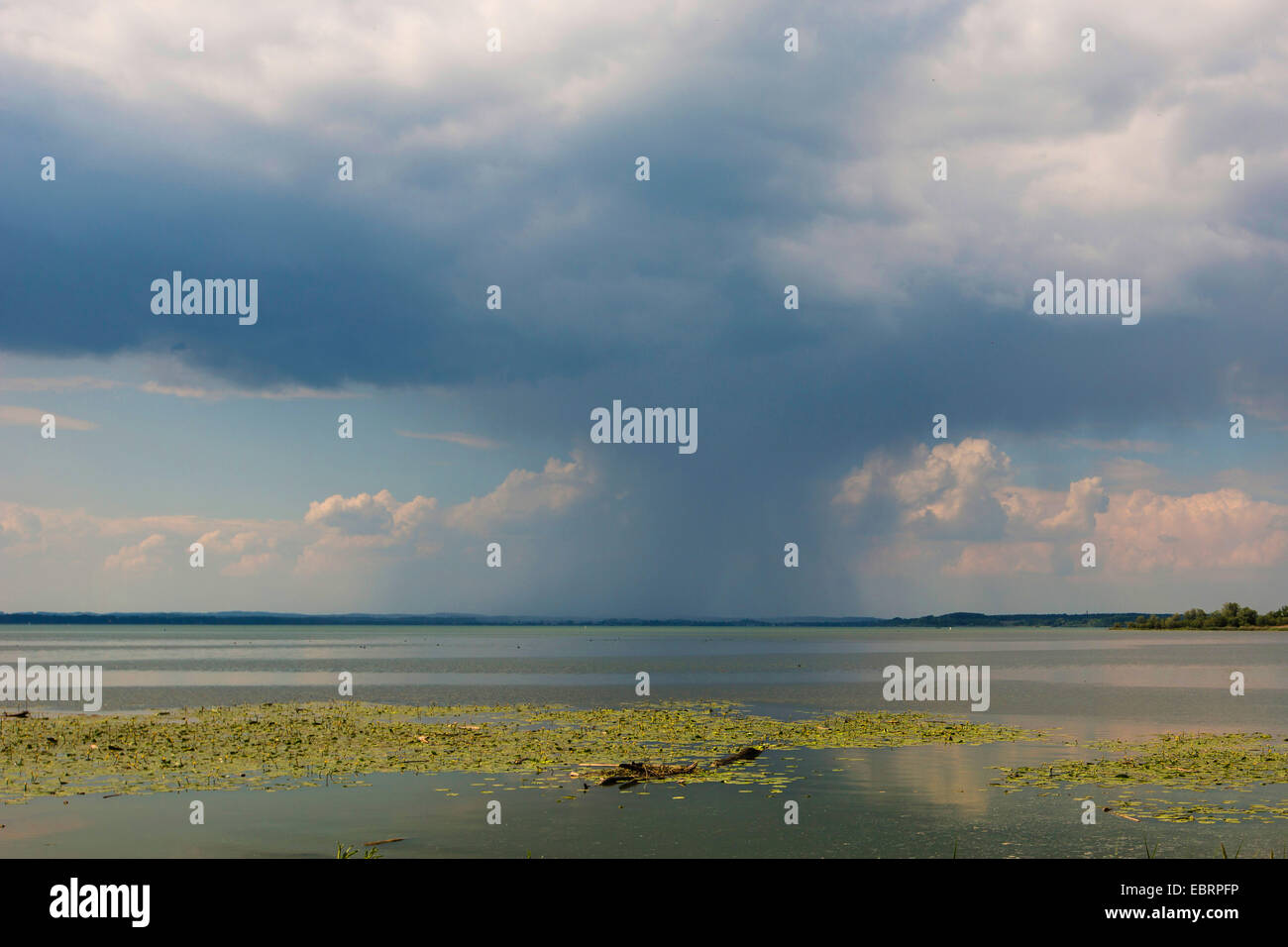 downpour from cumulus clouds above a lake, Germany, Bavaria, Lake Chiemsee Stock Photo