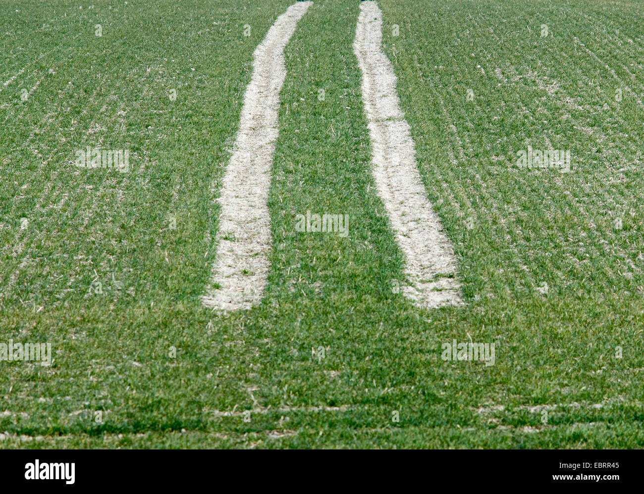Wheat field tractor tyre tracks tire Stock Photo Alamy