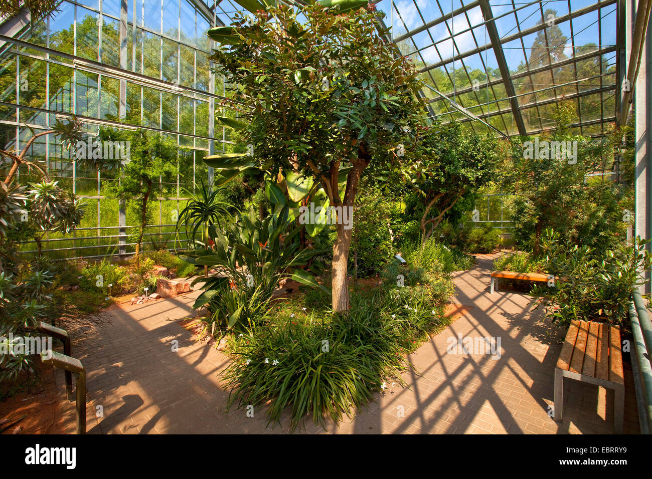 Botanical Garden Bochum Stock Photos Botanical Garden Bochum