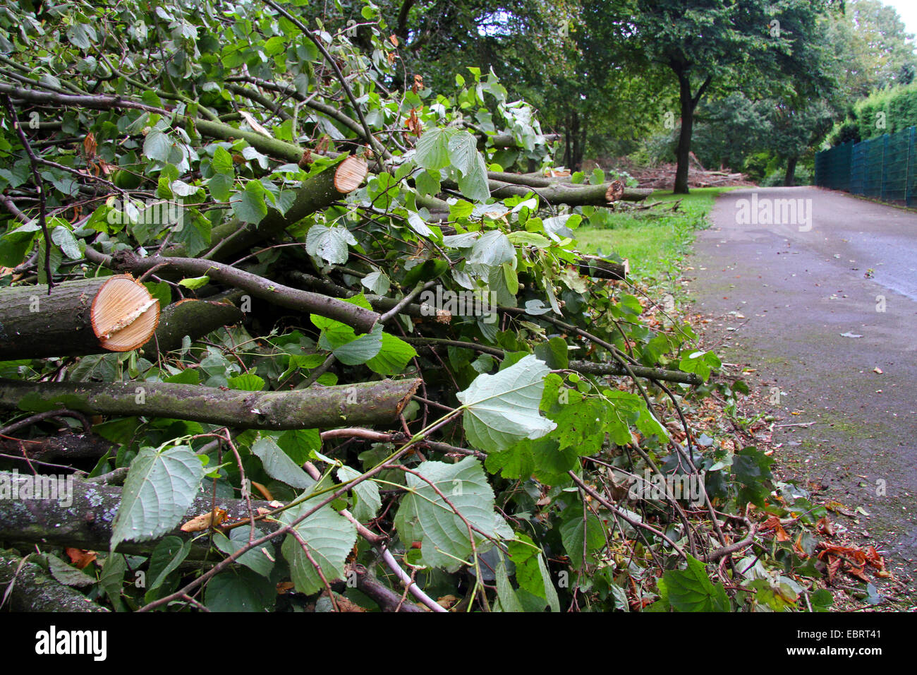 heaps of branches waysides after storm, Germany, North Rhine-Westphalia, Ruhr Area, Essen Stock Photo