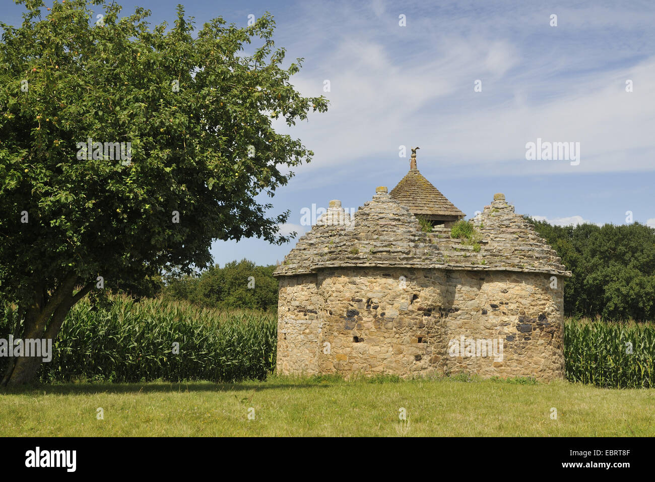 the dovecote Vaujoyeux, France, Brittany, Planguenoual Stock Photo