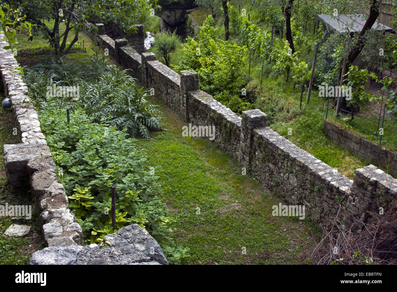 Garden in Gargnano at Lake Garda, Italy, Brescia, Gargnano Stock Photo